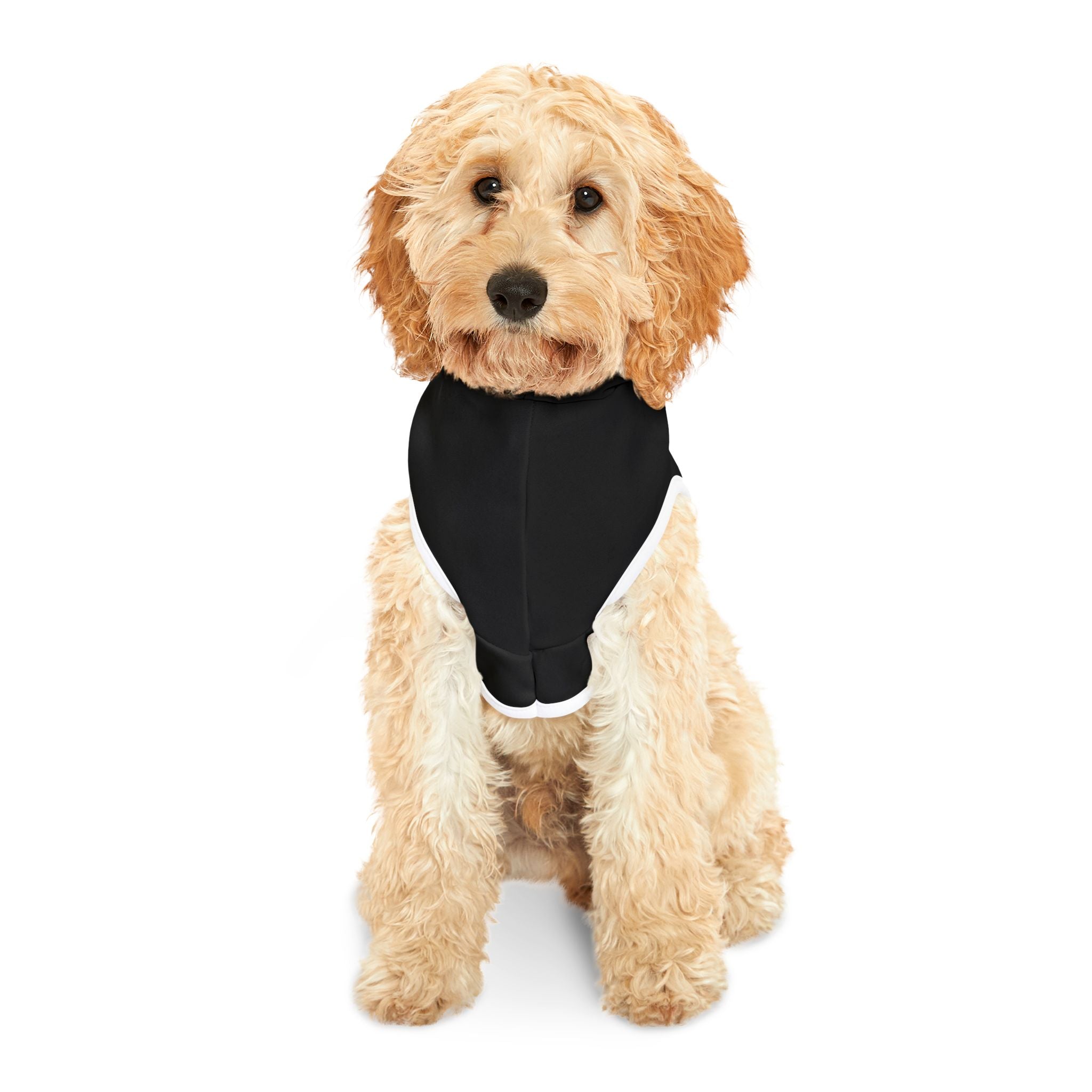 Lemon Cup Pet Hoodie